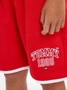 Tommy Hilfiger Tommy Varsity Kinder Shorts