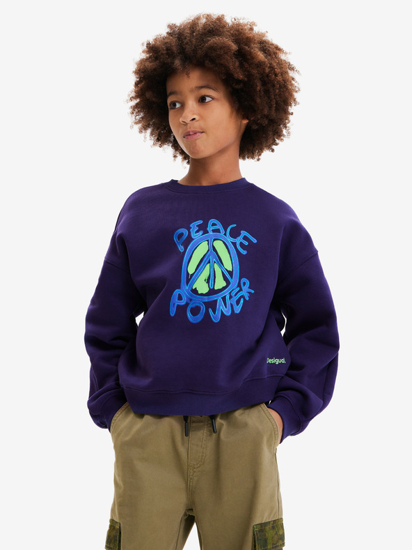 Desigual Arthur Sweatshirt für Kinder Blau